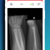 Apple iPhone 11 Pro Max Screenshot 3.png